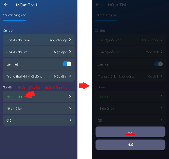 Module 2 In 2 Out Lumi 18