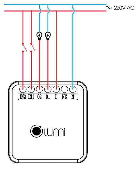 Module 2 In 2 Out Lumi 2