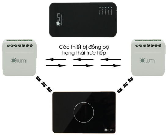 Module 2 In 2 Out Lumi 5